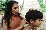 Amazonian mother picking lice out of her child's head hair