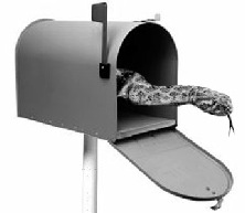 Rattlesnakes were everywhere - even in mailboxes